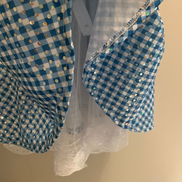 Wizard of Oz Dorothy costume girls sz L Toto dog - Picture 4 of 5